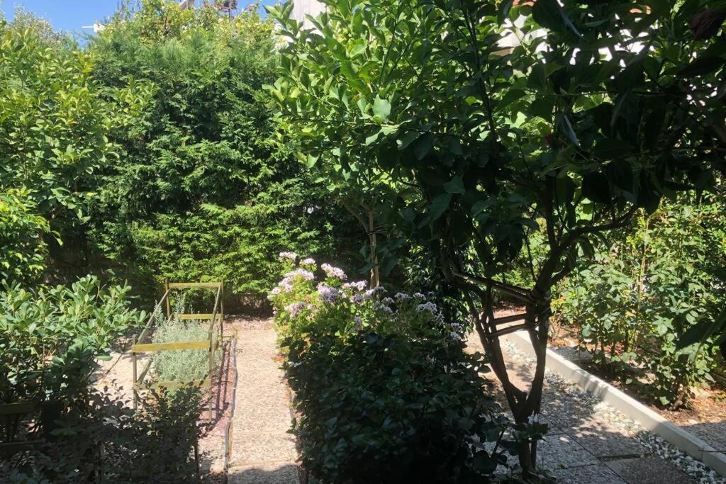 فيلا Ανακαινισμενη Μονοκατοικια 125 Τμ Στο Κεντρο Με Κηπο Mesolóngion المظهر الخارجي الصورة